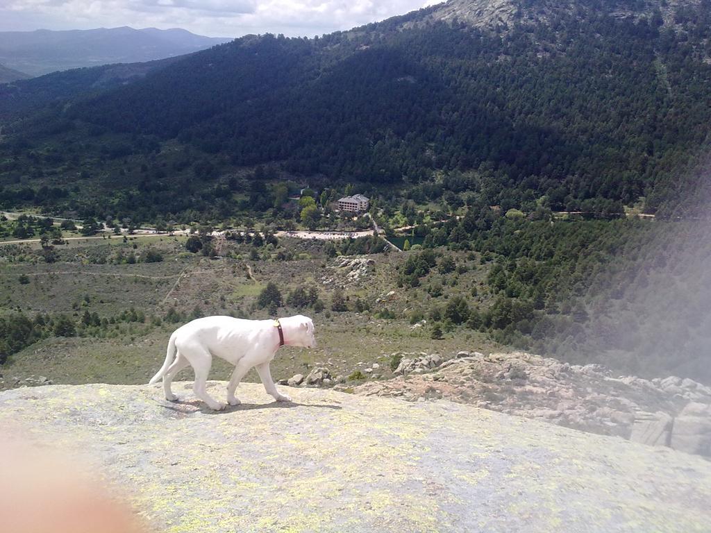 Hotel Rural Las Postas Navacerrada Dış mekan fotoğraf