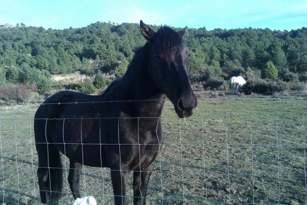 Hotel Rural Las Postas Navacerrada Dış mekan fotoğraf
